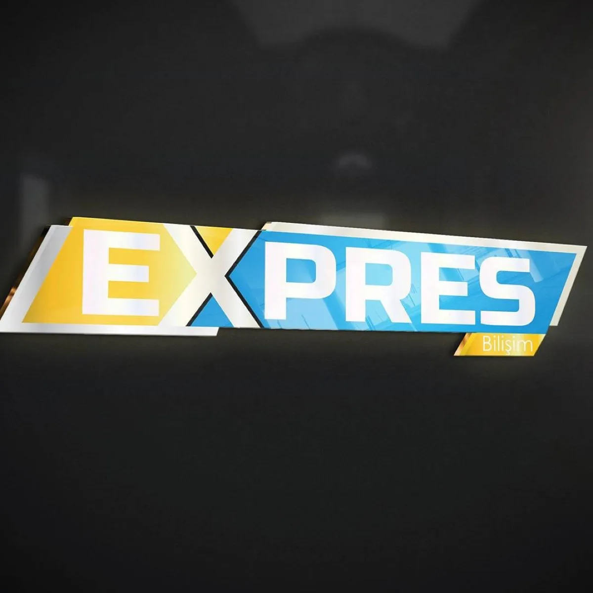 Express Bilişim logo tasarımı
